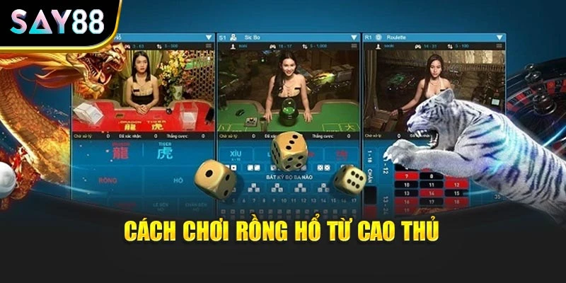 Cách chơi rồng hổ từ cao thủ