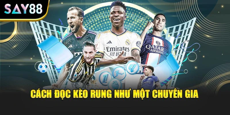 Cách đọc kèo rung như một chuyên gia