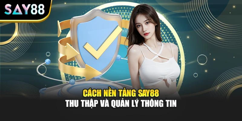 Cách nền tảng SAY88 thu thập và quản lý thông tin