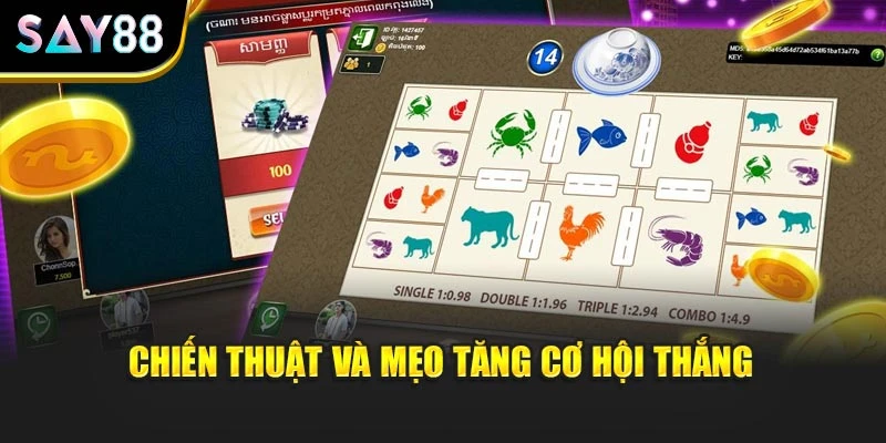 Chiến thuật và mẹo tăng cơ hội thắng
