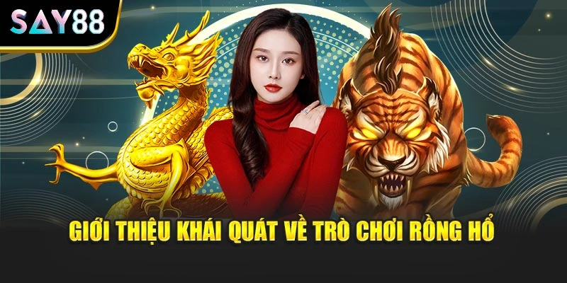 Giới thiệu khái quát về trò chơi Rồng Hổ