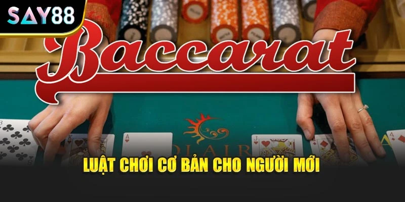 Luật chơi cơ bản cho người mới