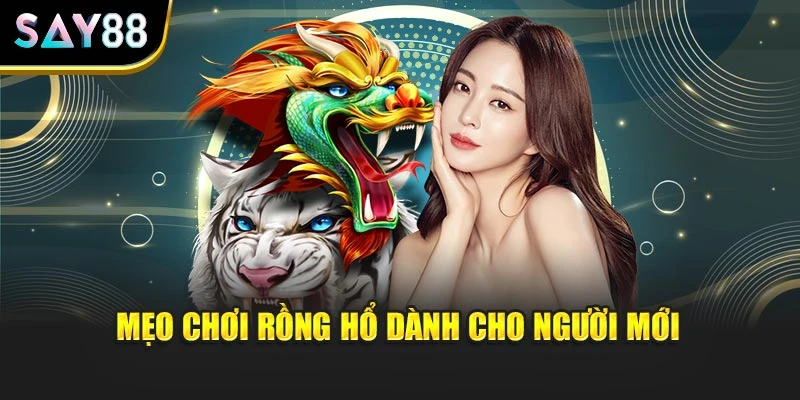 Mẹo chơi Rồng Hổ dành cho người mới