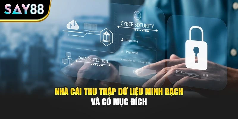Nhà cái thu thập dữ liệu minh bạch và có mục đích