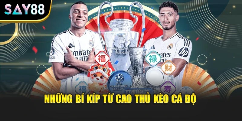 Những bí kíp từ cao thủ kèo cá độ