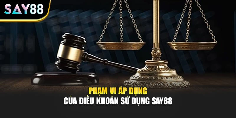 Phạm vi áp dụng của điều khoản sử dụng SAY88
