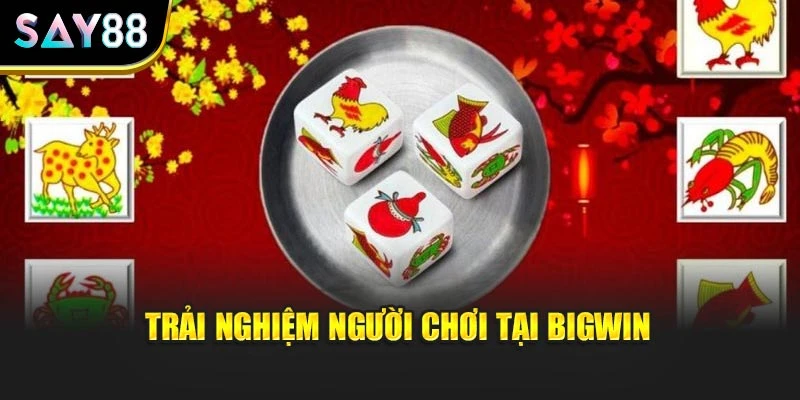 Trải nghiệm người chơi tại BigWin